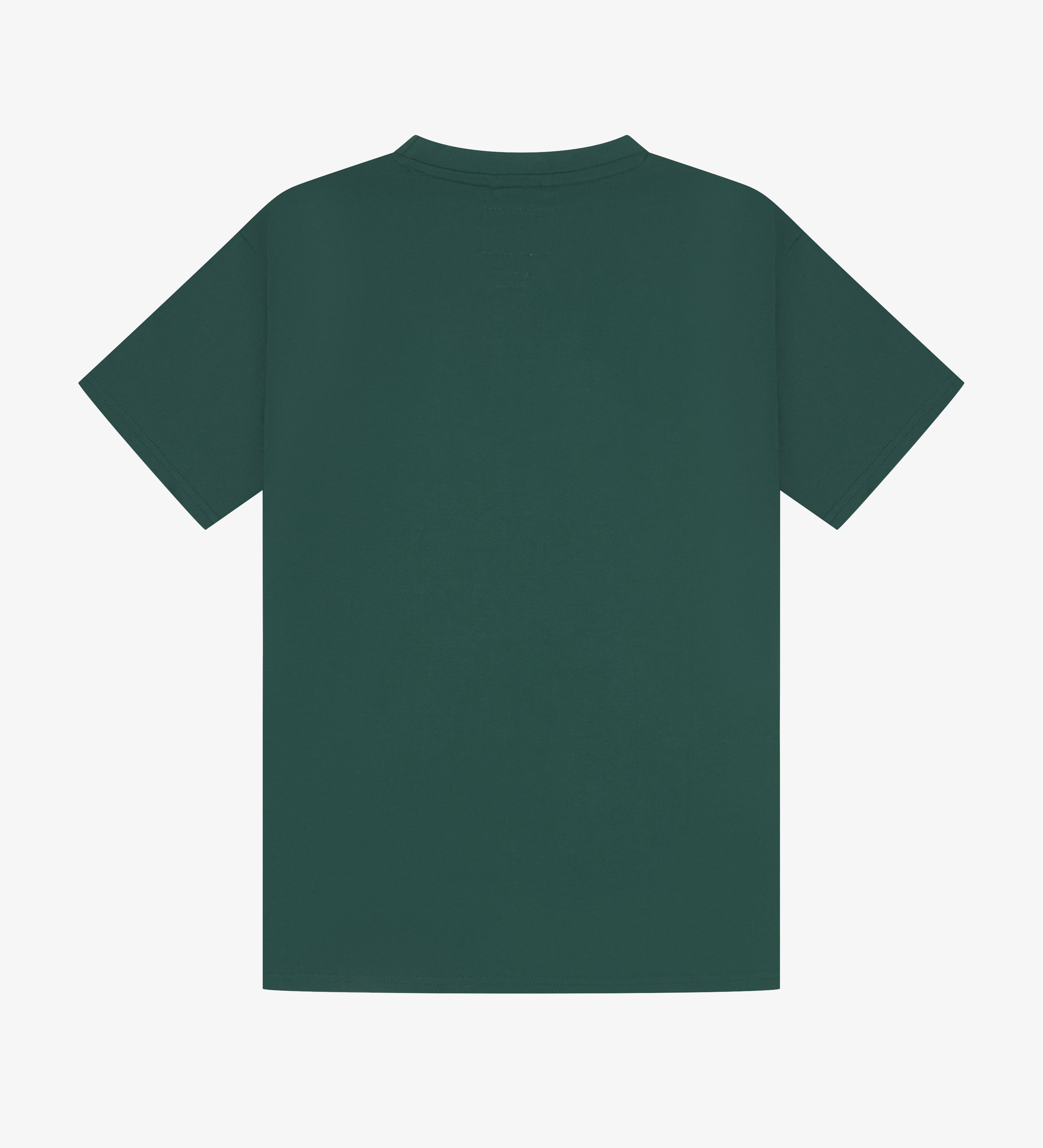 7006GREENBACK.jpg
