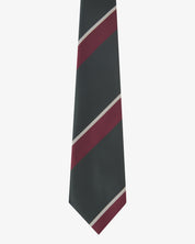 4014 Repp Tie - coriander
